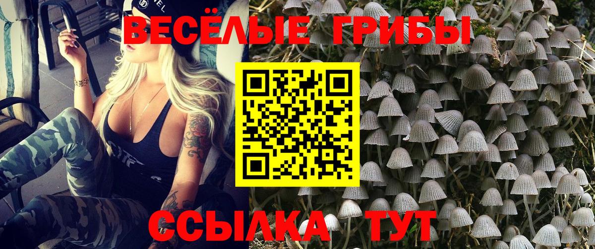 Ржев  Галлюциногенные грибы мицелий  купить наркотики сайты  Вход с VPN  Галлюциногенные грибы Magic Shrooms 