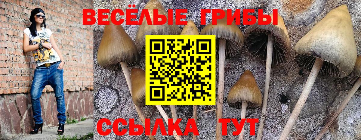 Галлюциногенные грибы прущие грибы Ржев